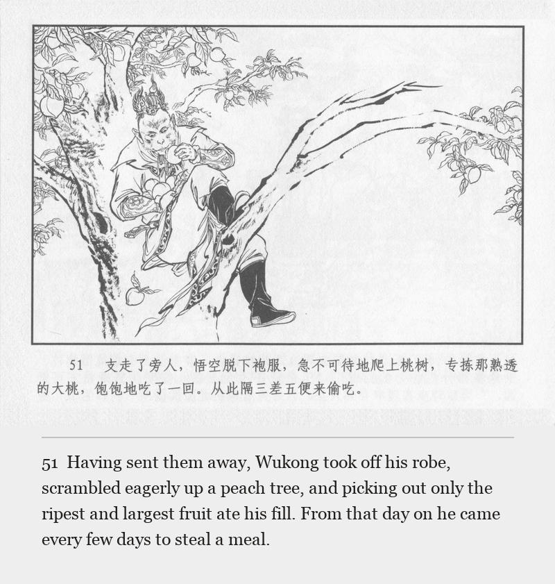 Having sent them away, Wukong took off his robe, scrambled eagerly up a peach tree, and picking out only the ripest and largest fruit ate his fill. From that day on he came every few days to steal a meal.