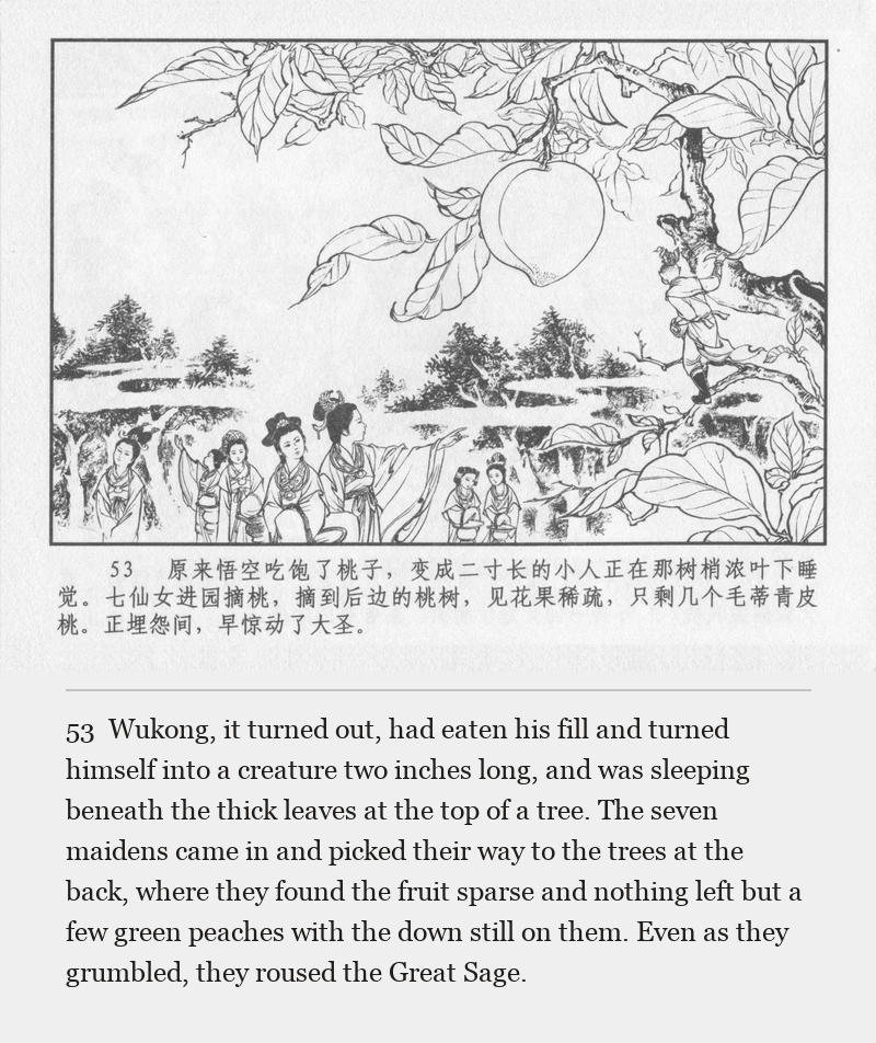 Wukong, it turned out, had eaten his fill and turned himself into a creature two inches long, and was sleeping beneath the thick leaves at the top of a tree. The seven maidens came in and picked their way to the trees at the back, where they found the fruit sparse and nothing left but a few green peaches with the down still on them. Even as they grumbled, they roused the Great Sage.