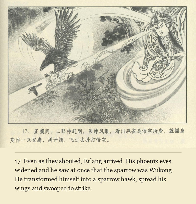 Even as they shouted, Erlang arrived. His phoenix eyes widened and he saw at once that the sparrow was Wukong. He transformed himself into a sparrow hawk, spread his wings and swooped to strike.