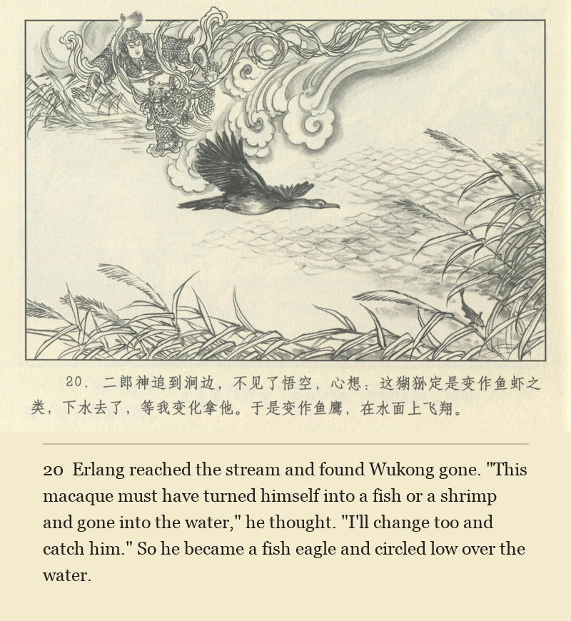 Erlang reached the stream and found Wukong gone. "This macaque must have turned himself into a fish or a shrimp and gone into the water," he thought. "I'll change too and catch him." So he became a fish eagle and circled low over the water.