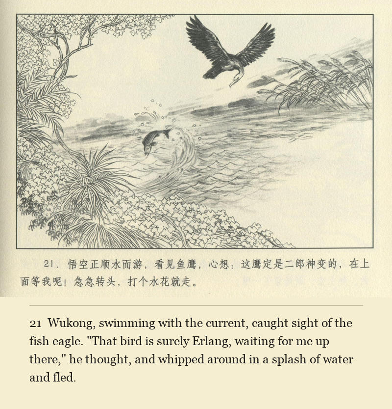 Wukong, swimming with the current, caught sight of the fish eagle. "That bird is surely Erlang, waiting for me up there," he thought, and whipped around in a splash of water and fled.