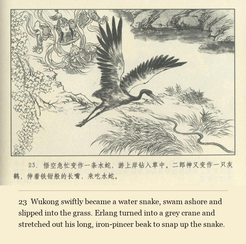 Wukong swiftly became a water snake, swam ashore and slipped into the grass. Erlang turned into a grey crane and stretched out his long, iron-pincer beak to snap up the snake.