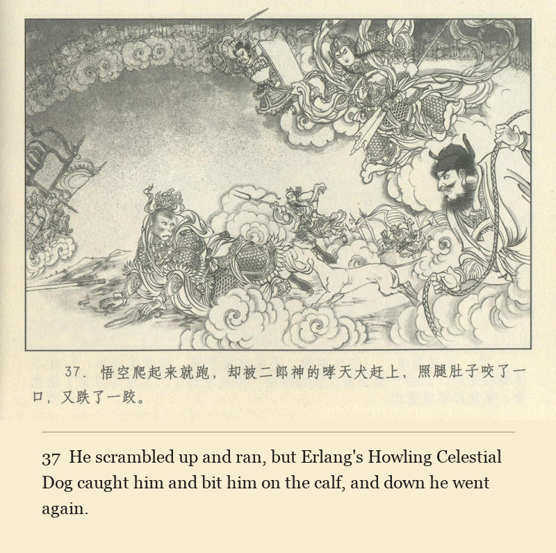 He scrambled up and ran, but Erlang's Howling Celestial Dog caught him and bit him on the calf, and down he went again.