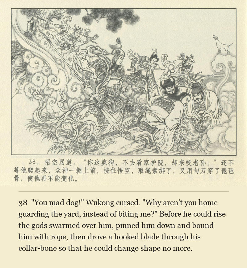 "You mad dog!" Wukong cursed. "Why aren't you home guarding the yard, instead of biting me?" Before he could rise the gods swarmed over him, pinned him down and bound him with rope, then drove a hooked blade through his collar-bone so that he could change shape no more.