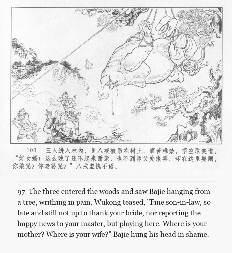 The three entered the woods and saw Bajie hanging from a tree, writhing in pain. Wukong teased, "Fine son-in-law, so late and still not up to thank your bride, nor reporting the happy news to your master, but playing here. Where is your mother? Where is your wife?" Bajie hung his head in shame.