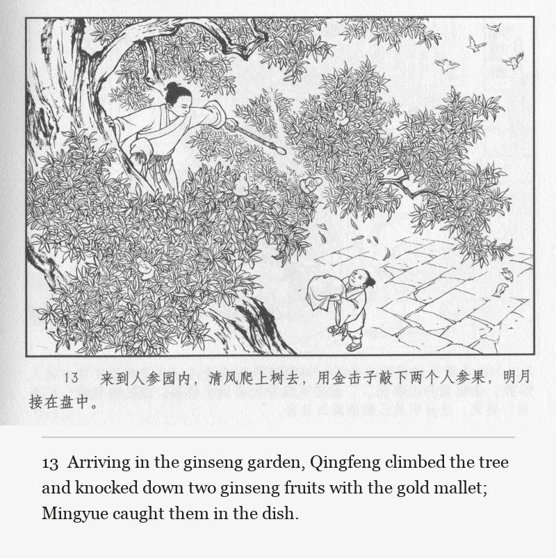 Arriving in the ginseng garden, Qingfeng climbed the tree and knocked down two ginseng fruits with the gold mallet; Mingyue caught them in the dish.