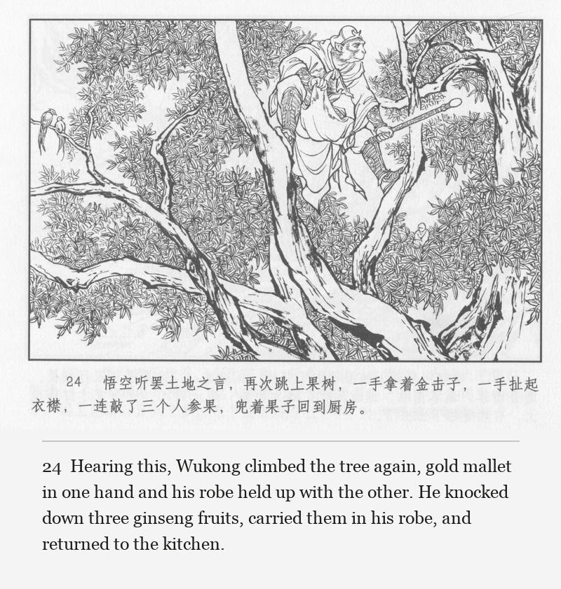 Hearing this, Wukong climbed the tree again, gold mallet in one hand and his robe held up with the other. He knocked down three ginseng fruits, carried them in his robe, and returned to the kitchen.