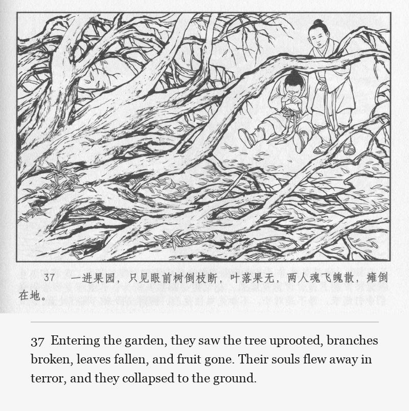 Entering the garden, they saw the tree uprooted, branches broken, leaves fallen, and fruit gone. Their souls flew away in terror, and they collapsed to the ground.