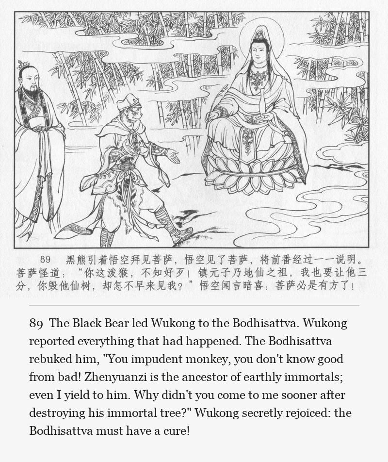 The Black Bear led Wukong to the Bodhisattva. Wukong reported everything that had happened. The Bodhisattva rebuked him, "You impudent monkey, you don't know good from bad! Zhenyuanzi is the ancestor of earthly immortals; even I yield to him. Why didn't you come to me sooner after destroying his immortal tree?" Wukong secretly rejoiced: the Bodhisattva must have a cure!