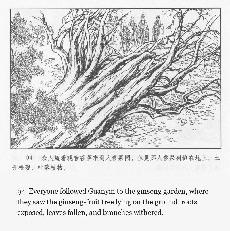 Everyone followed Guanyin to the ginseng garden, where they saw the ginseng-fruit tree lying on the ground, roots exposed, leaves fallen, and branches withered.