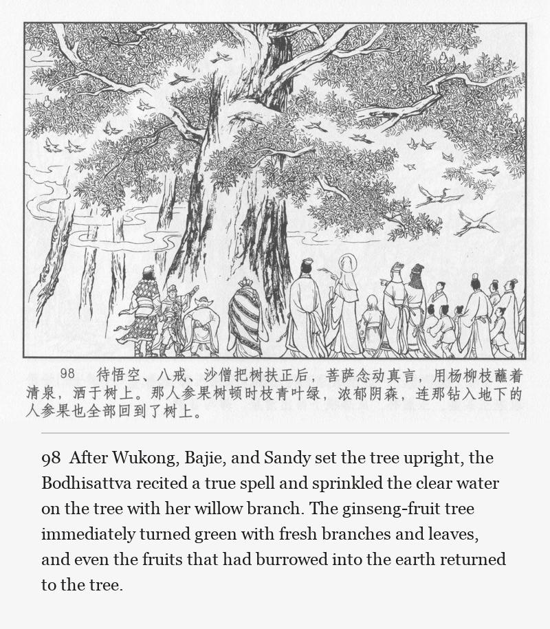 After Wukong, Bajie, and Sandy set the tree upright, the Bodhisattva recited a true spell and sprinkled the clear water on the tree with her willow branch. The ginseng-fruit tree immediately turned green with fresh branches and leaves, and even the fruits that had burrowed into the earth returned to the tree.