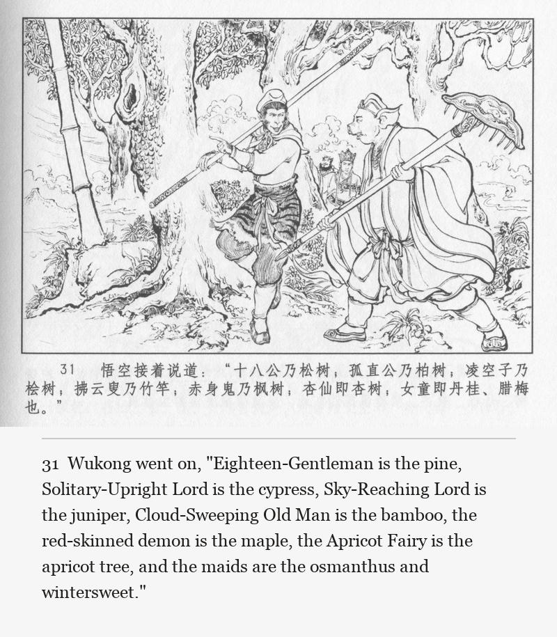 Wukong went on, "Eighteen-Gentleman is the pine, Solitary-Upright Lord is the cypress, Sky-Reaching Lord is the juniper, Cloud-Sweeping Old Man is the bamboo, the red-skinned demon is the maple, the Apricot Fairy is the apricot tree, and the maids are the osmanthus and wintersweet."