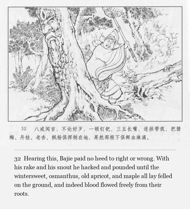 Hearing this, Bajie paid no heed to right or wrong. With his rake and his snout he hacked and pounded until the wintersweet, osmanthus, old apricot, and maple all lay felled on the ground, and indeed blood flowed freely from their roots.