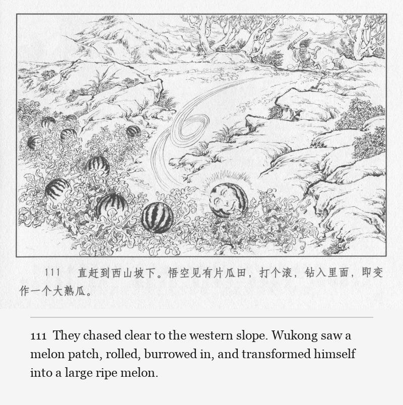 They chased clear to the western slope. Wukong saw a melon patch, rolled, burrowed in, and transformed himself into a large ripe melon.