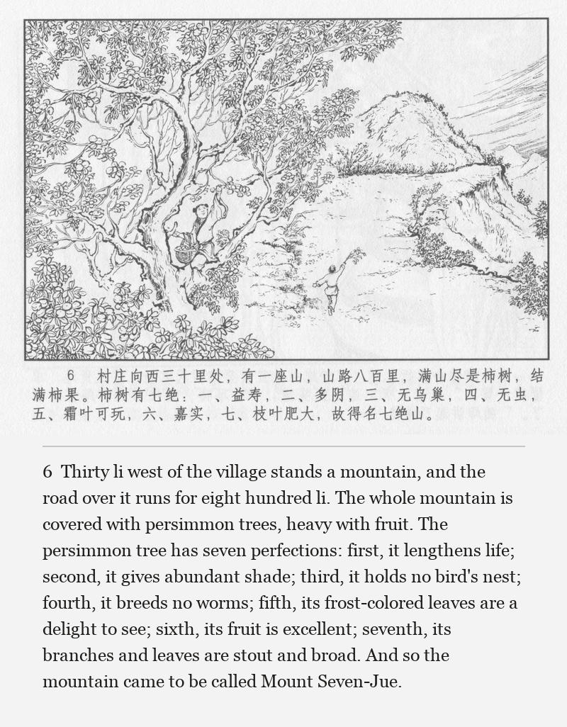 Thirty li west of the village stands a mountain, and the road over it runs for eight hundred li. The whole mountain is covered with persimmon trees, heavy with fruit. The persimmon tree has seven perfections: first, it lengthens life; second, it gives abundant shade; third, it holds no bird's nest; fourth, it breeds no worms; fifth, its frost-colored leaves are a delight to see; sixth, its fruit is excellent; seventh, its branches and leaves are stout and broad. And so the mountain came to be called Mount Seven-Jue.