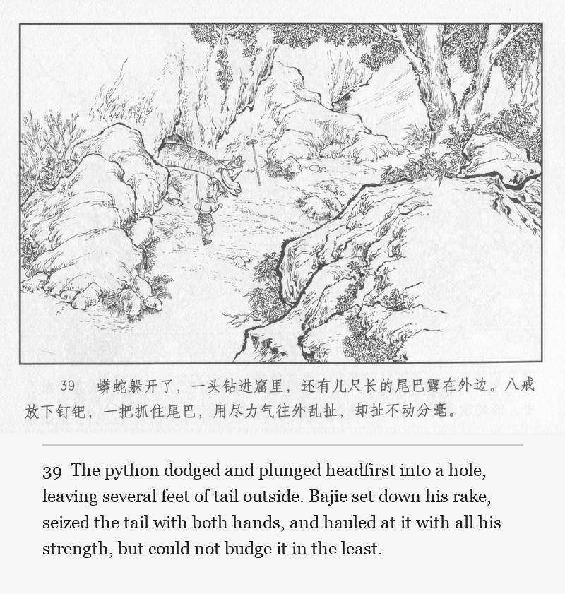 The python dodged and plunged headfirst into a hole, leaving several feet of tail outside. Bajie set down his rake, seized the tail with both hands, and hauled at it with all his strength, but could not budge it in the least.