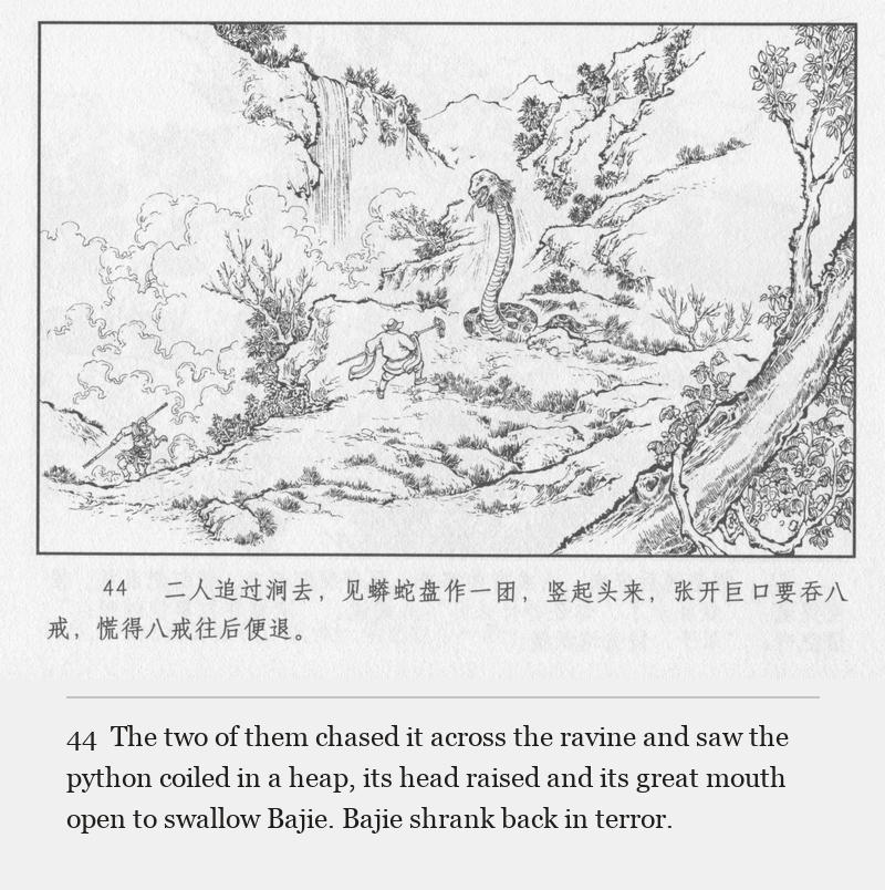 The two of them chased it across the ravine and saw the python coiled in a heap, its head raised and its great mouth open to swallow Bajie. Bajie shrank back in terror.