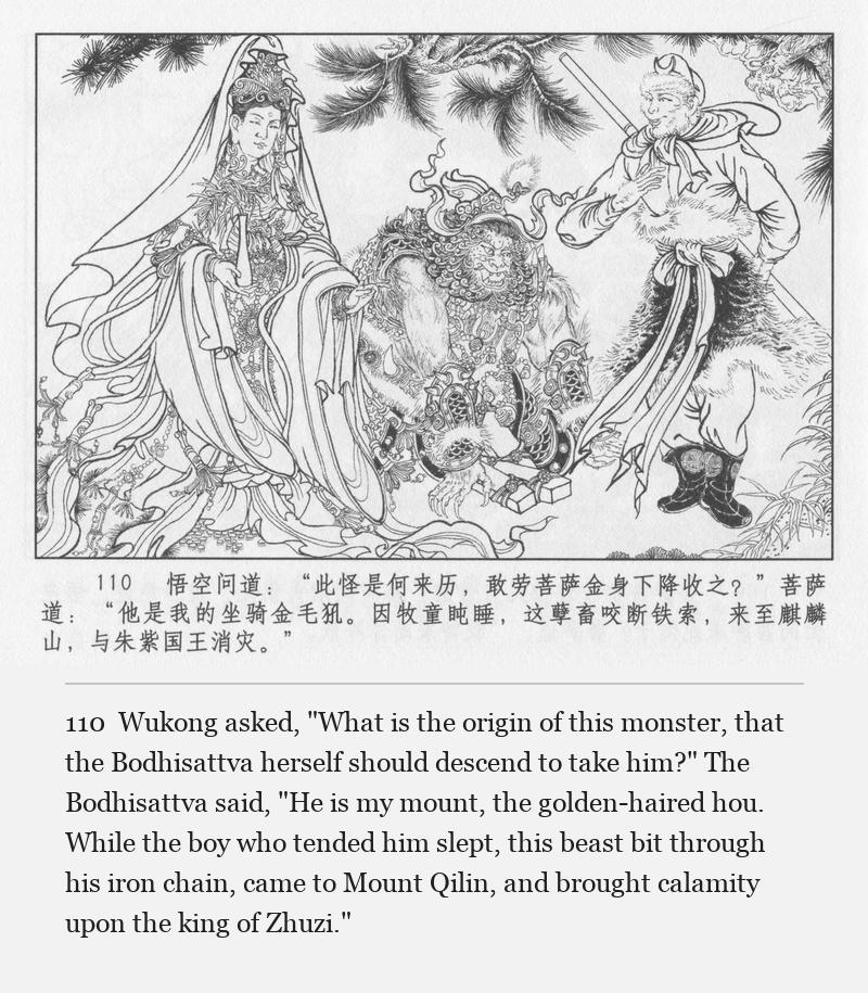 Wukong asked, "What is the origin of this monster, that the Bodhisattva herself should descend to take him?" The Bodhisattva said, "He is my mount, the golden-haired hou. While the boy who tended him slept, this beast bit through his iron chain, came to Mount Qilin, and brought calamity upon the king of Zhuzi."