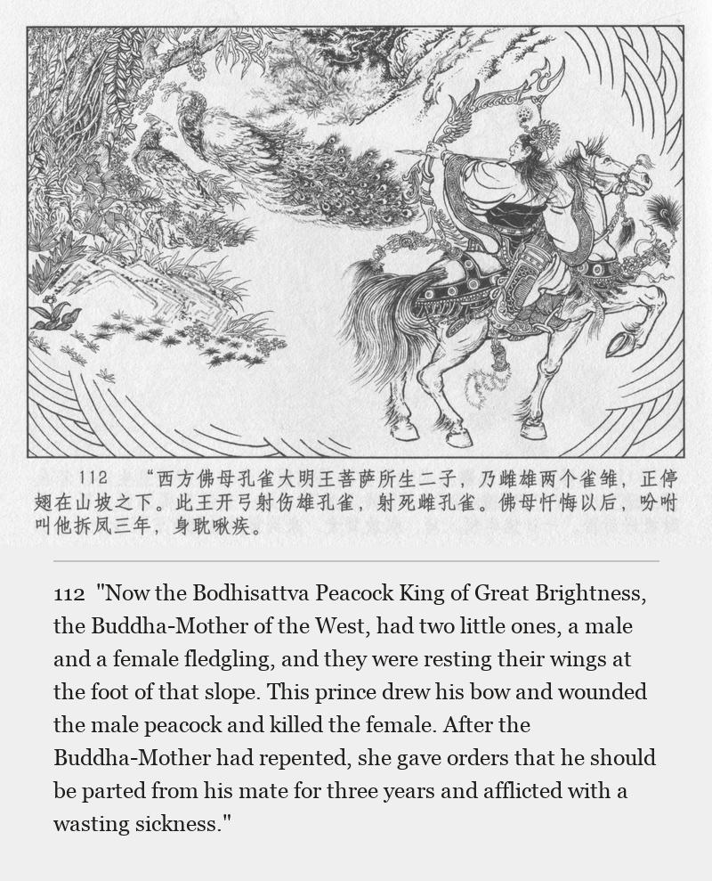 "Now the Bodhisattva Peacock King of Great Brightness, the Buddha-Mother of the West, had two little ones, a male and a female fledgling, and they were resting their wings at the foot of that slope. This prince drew his bow and wounded the male peacock and killed the female. After the Buddha-Mother had repented, she gave orders that he should be parted from his mate for three years and afflicted with a wasting sickness."