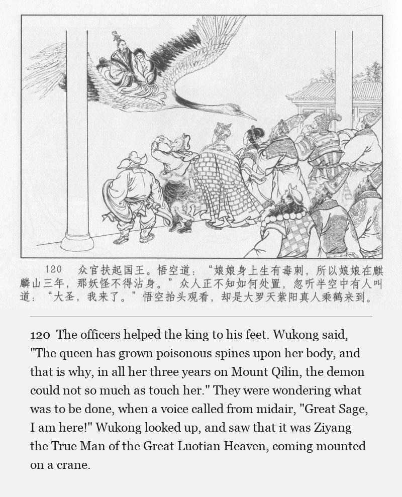 The officers helped the king to his feet. Wukong said, "The queen has grown poisonous spines upon her body, and that is why, in all her three years on Mount Qilin, the demon could not so much as touch her." They were wondering what was to be done, when a voice called from midair, "Great Sage, I am here!" Wukong looked up, and saw that it was Ziyang the True Man of the Great Luotian Heaven, coming mounted on a crane.