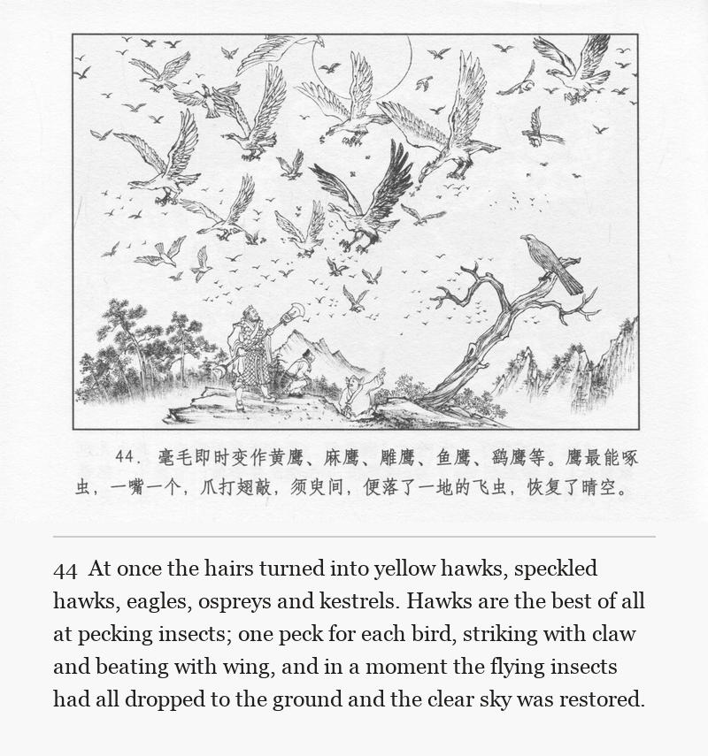 At once the hairs turned into yellow hawks, speckled hawks, eagles, ospreys and kestrels. Hawks are the best of all at pecking insects; one peck for each bird, striking with claw and beating with wing, and in a moment the flying insects had all dropped to the ground and the clear sky was restored.