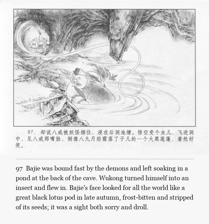 Bajie was bound fast by the demons and left soaking in a pond at the back of the cave. Wukong turned himself into an insect and flew in. Bajie's face looked for all the world like a great black lotus pod in late autumn, frost-bitten and stripped of its seeds; it was a sight both sorry and droll.