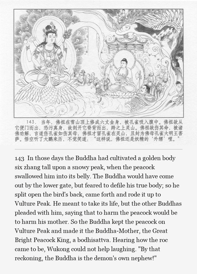 In those days the Buddha had cultivated a golden body six zhang tall upon a snowy peak, when the peacock swallowed him into its belly. The Buddha would have come out by the lower gate, but feared to defile his true body; so he split open the bird's back, came forth and rode it up to Vulture Peak. He meant to take its life, but the other Buddhas pleaded with him, saying that to harm the peacock would be to harm his mother. So the Buddha kept the peacock on Vulture Peak and made it the Buddha-Mother, the Great Bright Peacock King, a bodhisattva. Hearing how the roc came to be, Wukong could not help laughing. "By that reckoning, the Buddha is the demon's own nephew!"