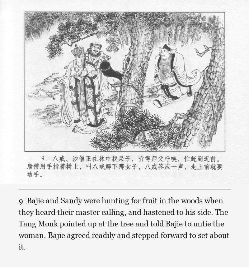 Bajie and Sandy were hunting for fruit in the woods when they heard their master calling, and hastened to his side. The Tang Monk pointed up at the tree and told Bajie to untie the woman. Bajie agreed readily and stepped forward to set about it.