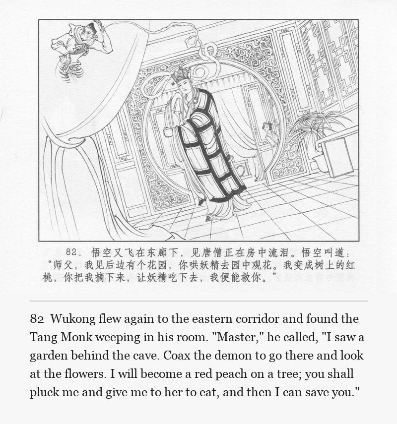 Wukong flew again to the eastern corridor and found the Tang Monk weeping in his room. "Master," he called, "I saw a garden behind the cave. Coax the demon to go there and look at the flowers. I will become a red peach on a tree; you shall pluck me and give me to her to eat, and then I can save you."