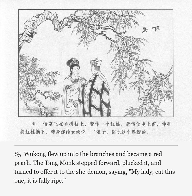 Wukong flew up into the branches and became a red peach. The Tang Monk stepped forward, plucked it, and turned to offer it to the she-demon, saying, "My lady, eat this one; it is fully ripe."