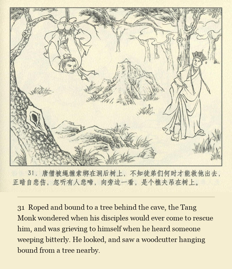 Roped and bound to a tree behind the cave, the Tang Monk wondered when his disciples would ever come to rescue him, and was grieving to himself when he heard someone weeping bitterly. He looked, and saw a woodcutter hanging bound from a tree nearby.